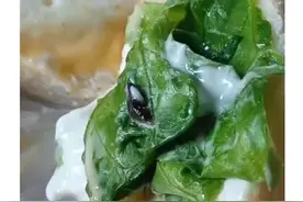 满哥维权 | 儿子从幼儿园领的蛋糕中有蚂蟥？园方和商家：仅凭视频图片无法认定图片