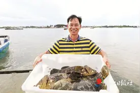码头“抢”海鲜，便宜又新鲜图片