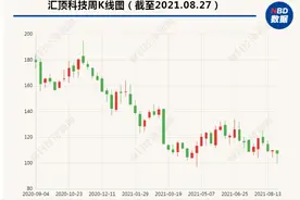 汇顶科技总裁胡煜华：公司正处于向综合型IC设计公司转型的重要阶段图片