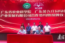 搭上数字化、智能化发展快车道！英九庄园成省农科院茶叶研究所基地图片
