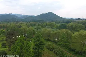 爱绿水 护青山图片