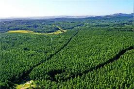 太行风｜中国塞罕坝（报告文学）图片