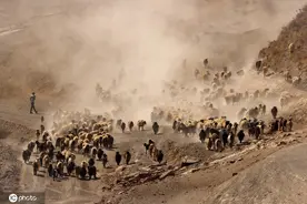 土耳其羊群在内姆鲁特山行进 尘土飞扬浩浩荡荡图片