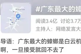 太像了吧！广东最大的蟑螂竟是白云机场？网友：一旦接受这个设定图片