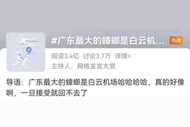 太像了吧！广东最大的蟑螂竟是白云机场？网友：一旦接受这个设定图片