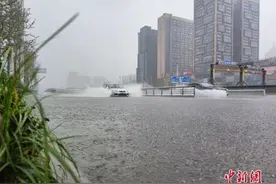 雷阵雨+中到大雨！河北连下4天！一级异常，今夏京津冀降雨异常偏多图片