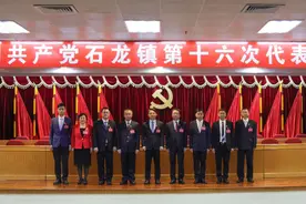 官宣！东莞16个镇新一届党委领导班子亮相图片