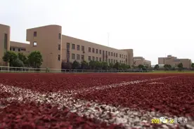 回到20年前的七宝中学：从来不需要想起，永远也不会忘记……图片