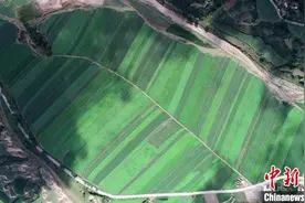 甘肃安定妇女种地“种出名堂”：地荒了，人心就慌了图片