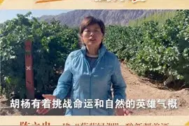 我为胡杨精神代言丨陈立忠：建“葡萄绿洲”酿新疆美酒视频封面