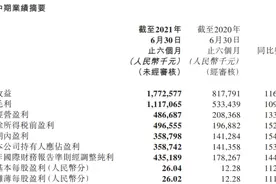 盲盒继续疯狂，Molly娃娃上半年销售额2亿，你买过么？图片