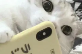 假的！别信！苏州又发生多起图片