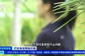 千万别信！“注销支付宝学生账户”骗局曝光！能说出你的身份信息、毕业学校…有人已“中招”图片