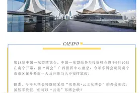 定了！今年东博会不放假图片