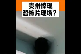4岁女孩脑袋卡墙洞上演恐怖片 被消防员用菜油救出图片