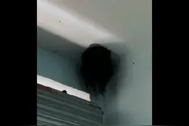 4岁女孩脑袋卡墙洞上演恐怖片 被消防员用菜油救出图片