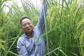 袁隆平的“禾下乘凉梦”成真？网友评论让人泪目…………图片