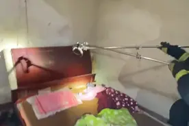背后发凉！永州男子听到床下异响，趴地上一看睡意全无：一条眼镜蛇图片