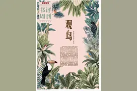 鸟鸣：鸟儿永远不会沉默不语图片