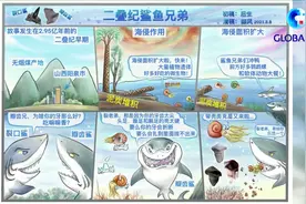 全球连线｜中国首次发现2.9亿年前史前凶猛鲨鱼化石图片