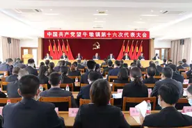 东莞望牛墩：未来五年，将奋力在水乡新城核心区建设中展现新作为图片
