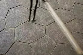 武汉多个小区现蛇影，专业人士支招：不惹它、远离它图片