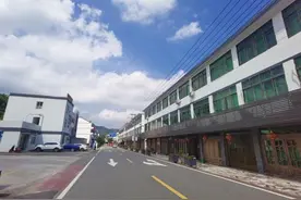 苍南山区小镇：山沟里飞回“金”凤凰图片