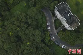 重庆玉龙公园：丛林里隐藏旧石器遗址图片