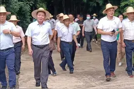 惠州芦洲镇拉开乡镇振兴大幕，工作队刚入驻不久就迎来调研团图片
