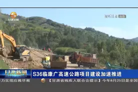 「短视频」S36临康广高速公路项目建设加速推进图片