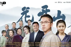 谱写乡村振兴美丽画卷 电视剧《花开山乡》在央视一套黄金档播出图片