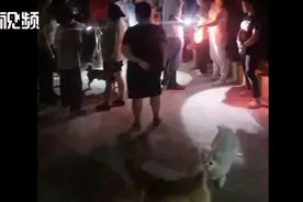 万幸！湖南5岁男童和姐姐争吵后走失一夜未归，民警在山中柴草堆里找到了他…图片