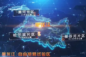 两周岁！黑龙江自贸试验区跑出改革加速度图片