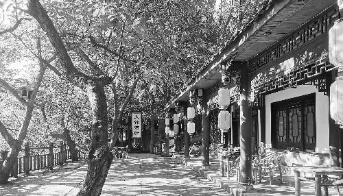 走！到成都，玩剧本杀