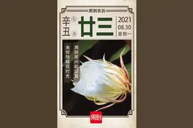 农历中国 | 七月廿三 · 昙花一现图片