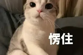 这不是恐怖片！天花板上“垂着一颗头”…网友：当时害怕极了图片