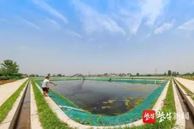 靖江孤山：全力打造国家级
长江下游水生生物资源养护研究基地图片