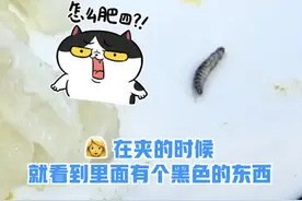 火锅吃到一半发现牛筋里嵌了只虫！顾客：太恶心图片