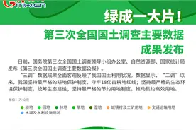 数据图解丨绿成一大片！第三次全国国土调查主要数据成果发布图片