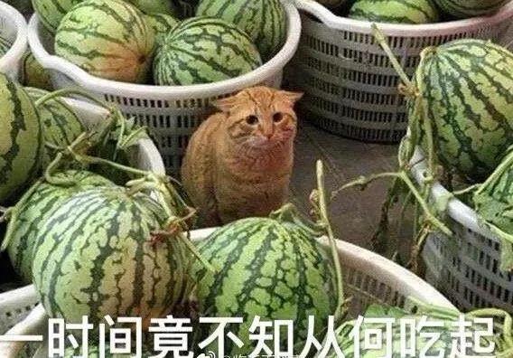 ԹϣһȺϲּл