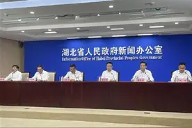 9月1日起至年底，湖北新能源车以旧换新最高补贴5千图片