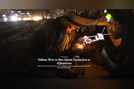 塔利班承诺全面禁毒，美媒纷纷“唱衰”图片