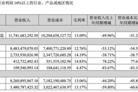 2021上半年净利润下滑93%，业绩陷泥淖的欧菲光什么时候能翻身？图片