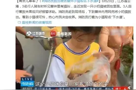 有点儿草率了！消防员救出被困窨井小猫取名下水道图片
