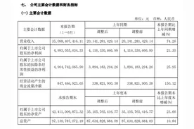 5000亿“光伏茅”股价创新高！上半年大赚50亿图片
