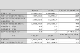 合并日本三电控股业绩，海信家电遭遇扩张阵痛图片
