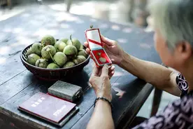 核桃树下的思念——记2021年7月“中国好人榜”诚实守信人物王贤琴图片