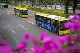 海口发布最新公交线路票价信息，5类人群可享免费乘车图片