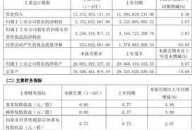 “酱油茅”海天味业跌停，泓德基金邬传雁在高位加仓图片