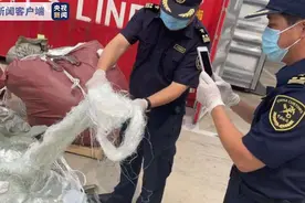 退回！张家港海关清退65.8吨“洋垃圾”图片